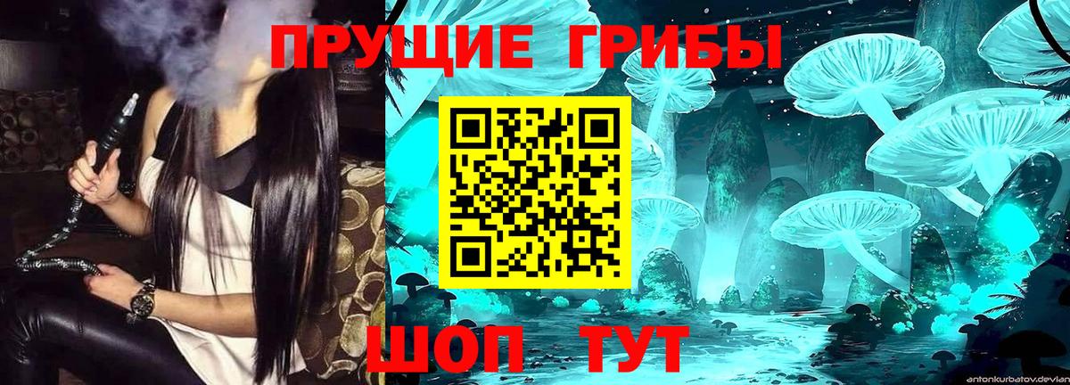 Барабинск  Галлюциногенные грибы прущие грибы  как найти наркотики  Галлюциногенные грибы мицелий  Вход с VPN 