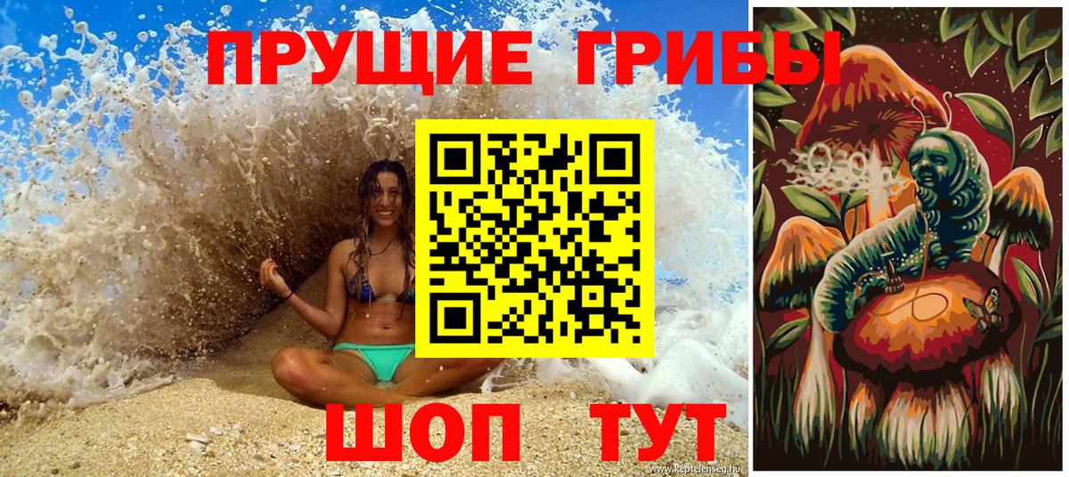 Псилоцибиновые грибы мухоморы Барабинск